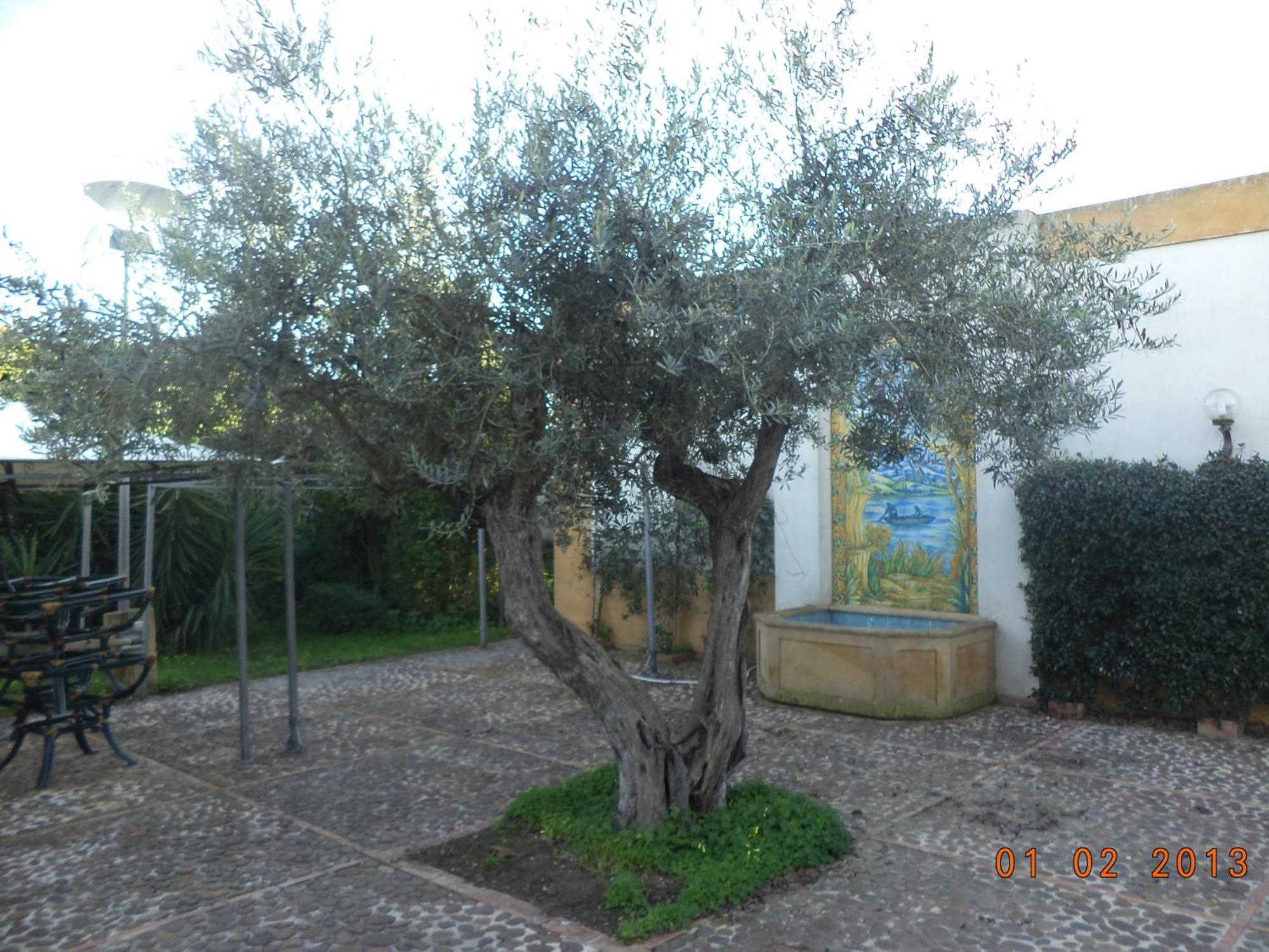Hotel Villa Palocla Sciacca Exterior foto